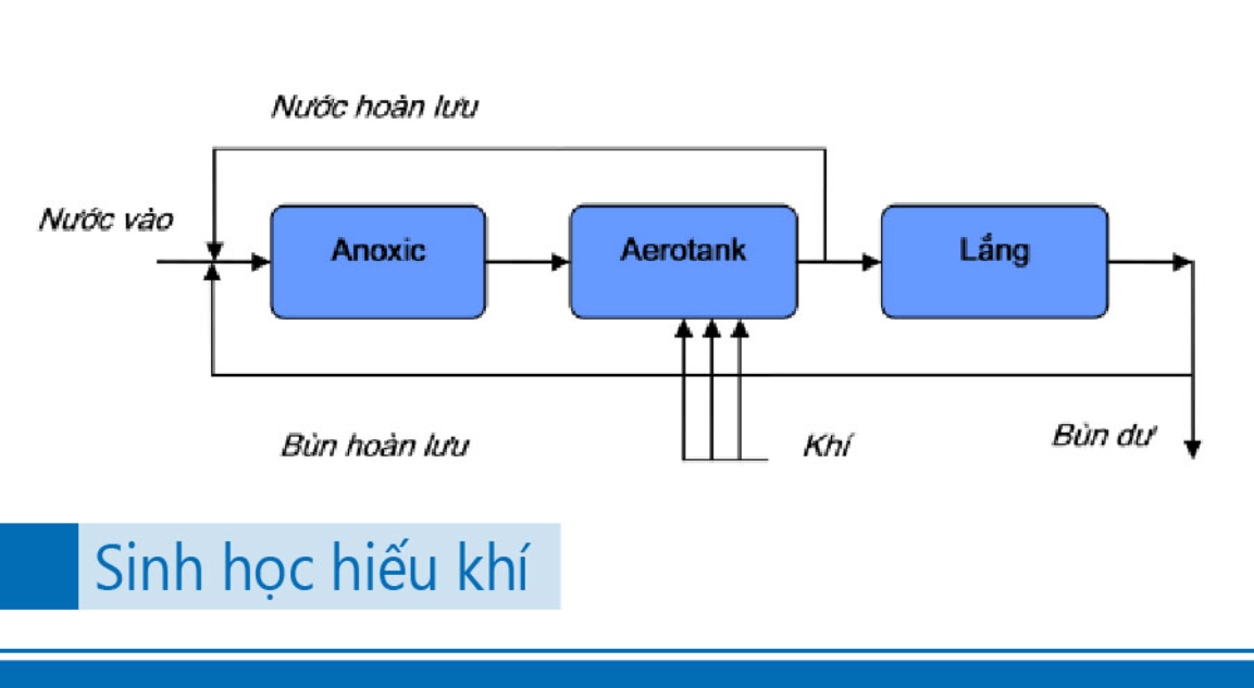 công nghệ xử lý nước thải sinh học