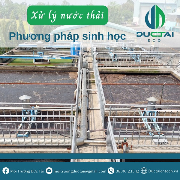 xử lý nước thải bằng phương pháp sinh học